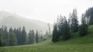 Превью обои деревья, трава, луг, холмы, природа