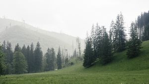Превью обои деревья, трава, луг, холмы, природа