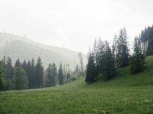 Превью обои деревья, трава, луг, холмы, природа