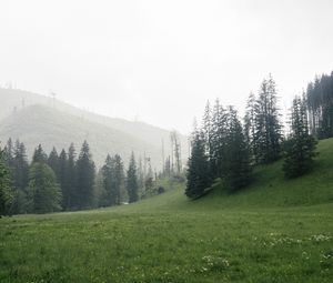 Превью обои деревья, трава, луг, холмы, природа