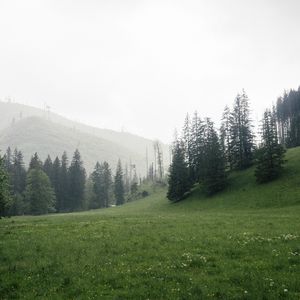 Превью обои деревья, трава, луг, холмы, природа