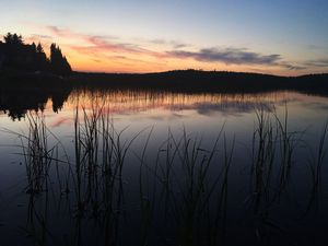 Превью обои деревья, трава, силуэты, озеро, сумерки, темный