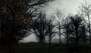 Превью обои деревья, туман, арт, лес, темный