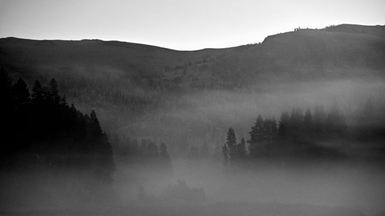 Обои деревья, туман, горы, природа, черно-белый