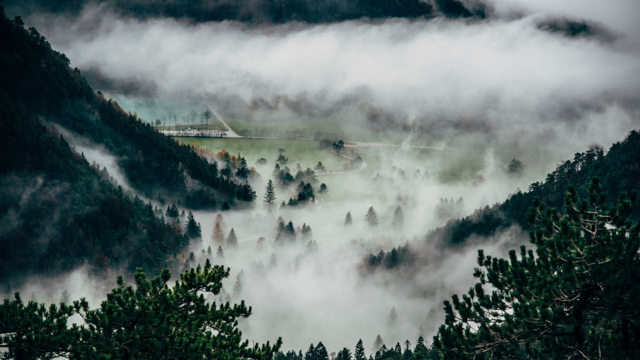 Обои деревья, туман, горы, вершина