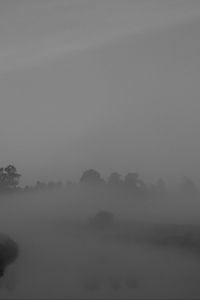 Превью обои деревья, туман, густой, темный, природа