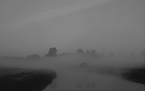 Превью обои деревья, туман, густой, темный, природа