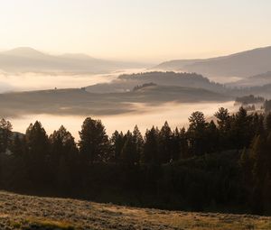 Превью обои деревья, туман, холмы, пейзаж, природа