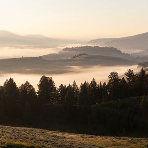 Превью обои деревья, туман, холмы, пейзаж, природа