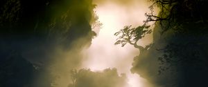 Превью обои деревья, туман, холмы, обрывы