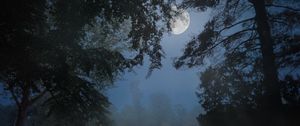 Превью обои деревья, туман, луна, ночь