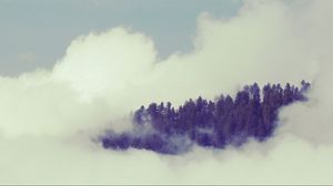 Превью обои деревья, туман, небо