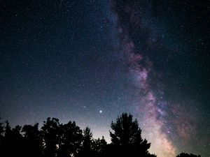 Превью обои деревья, туманность, звездное небо, звезды