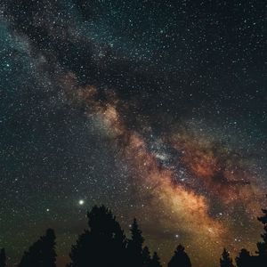 Превью обои деревья, туманность, звездное небо, звезды, ночь