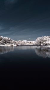 Превью обои деревья в снегу, вода, небо, пейзаж, природа