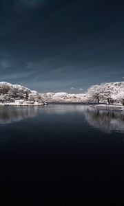 Превью обои деревья в снегу, вода, небо, пейзаж, природа