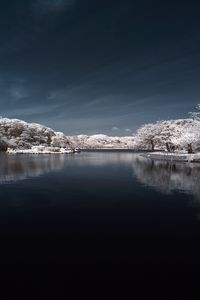 Превью обои деревья в снегу, вода, небо, пейзаж, природа