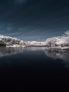 Превью обои деревья в снегу, вода, небо, пейзаж, природа