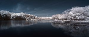 Превью обои деревья в снегу, вода, небо, пейзаж, природа