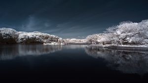Превью обои деревья в снегу, вода, небо, пейзаж, природа