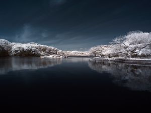 Превью обои деревья в снегу, вода, небо, пейзаж, природа