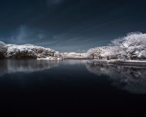 Превью обои деревья в снегу, вода, небо, пейзаж, природа