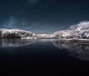 Превью обои деревья в снегу, вода, небо, пейзаж, природа