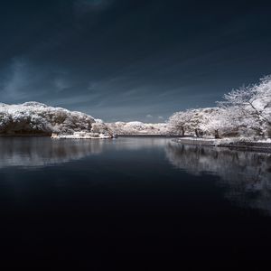 Превью обои деревья в снегу, вода, небо, пейзаж, природа