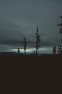 Превью обои деревья, вечер, небо, горизонт
