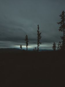 Превью обои деревья, вечер, небо, горизонт