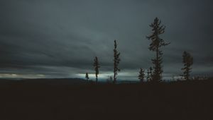 Превью обои деревья, вечер, небо, горизонт