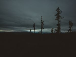 Превью обои деревья, вечер, небо, горизонт