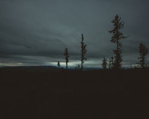Превью обои деревья, вечер, небо, горизонт
