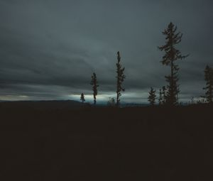 Превью обои деревья, вечер, небо, горизонт