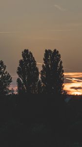 Превью обои деревья, вечер, ночь, небо
