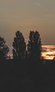 Превью обои деревья, вечер, ночь, небо