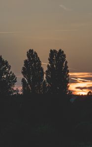 Превью обои деревья, вечер, ночь, небо