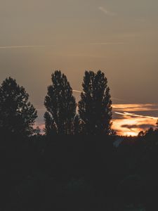 Превью обои деревья, вечер, ночь, небо