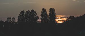 Превью обои деревья, вечер, ночь, небо