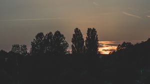 Превью обои деревья, вечер, ночь, небо