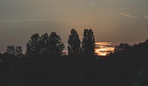 Превью обои деревья, вечер, ночь, небо