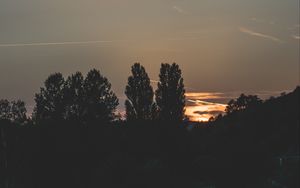 Превью обои деревья, вечер, ночь, небо