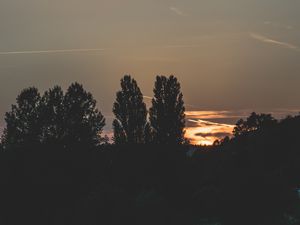 Превью обои деревья, вечер, ночь, небо