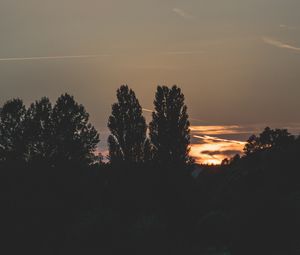 Превью обои деревья, вечер, ночь, небо