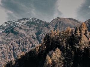 Превью обои деревья, верхушки, горы, небо, облака
