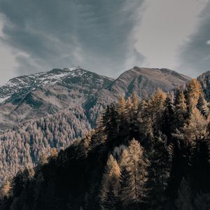 Превью обои деревья, верхушки, горы, небо, облака
