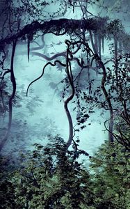 Превью обои деревья, ветки, джунгли, туман
