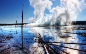 Превью обои деревья, ветки, источник, пар, термальный, вода