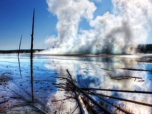 Превью обои деревья, ветки, источник, пар, термальный, вода