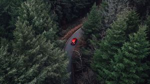 Превью обои деревья, вид сверху, автомобиль, лес, туман